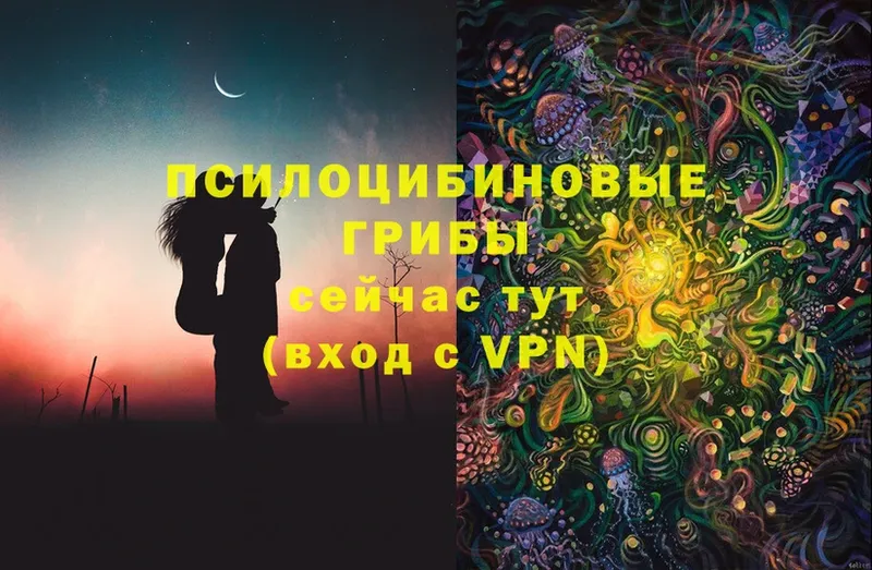 Галлюциногенные грибы Psilocybine cubensis  Бирюч 